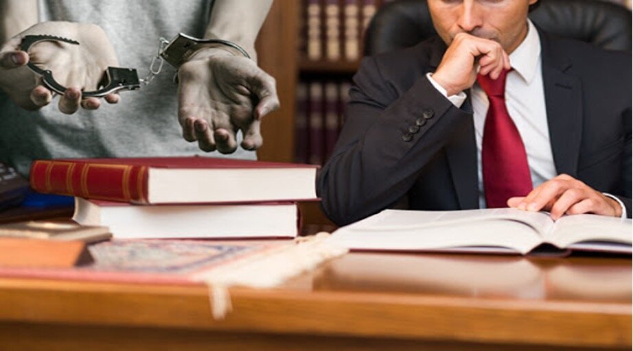 lawyer studying a case